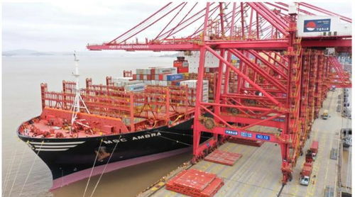 宁波打了个小小喷嚏，为何全球市场随之颤抖？——世界工厂的日用品供应命脉解码